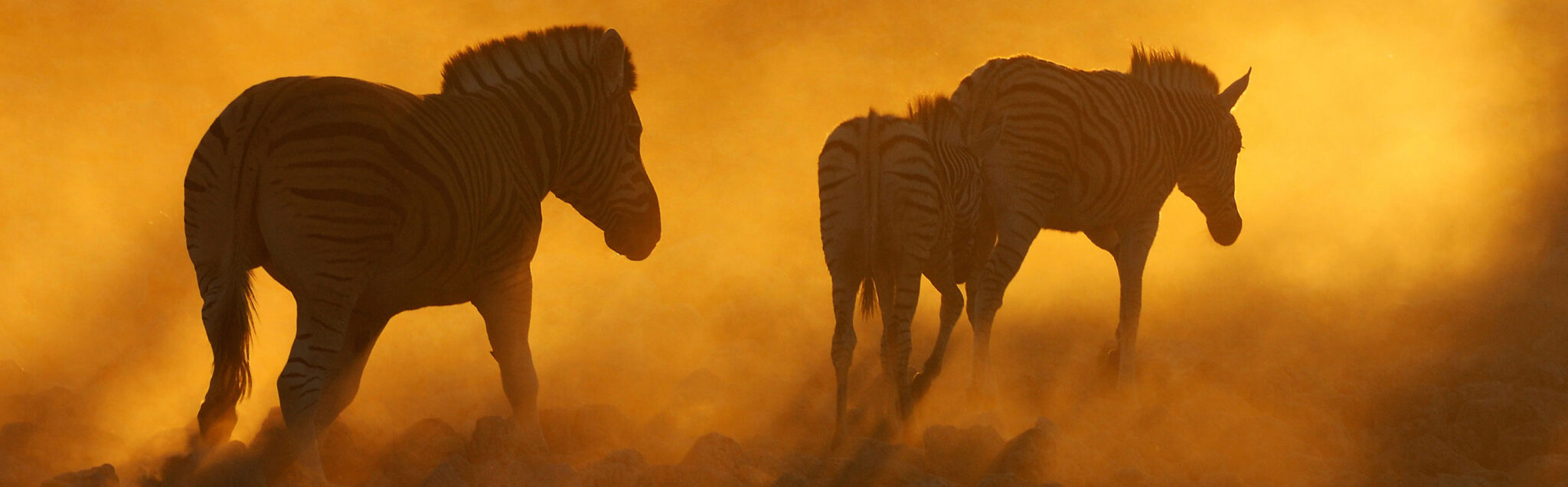 documentation-bronkhorst-safaris-south-africa